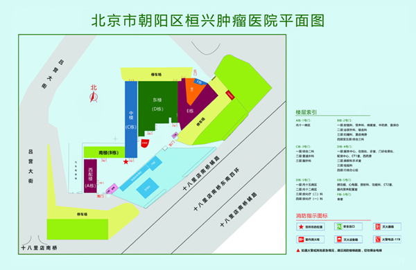 日韩插B北京市朝阳区桓兴肿瘤医院平面图